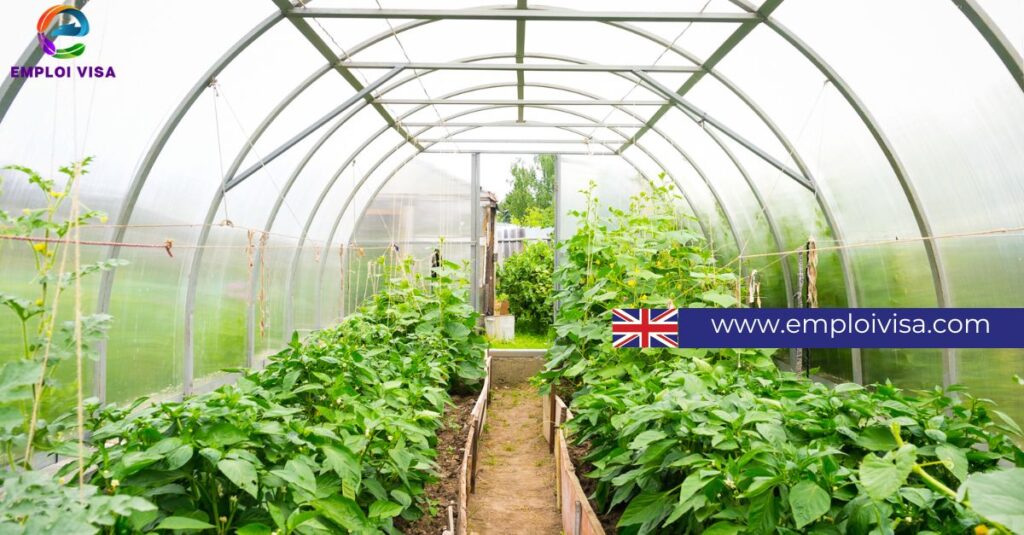 Horticulture Operator Required in UK - Visa Sponsorship Available